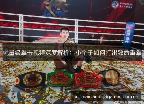 蝇量级拳击视频深度解析：小个子如何打出致命重拳